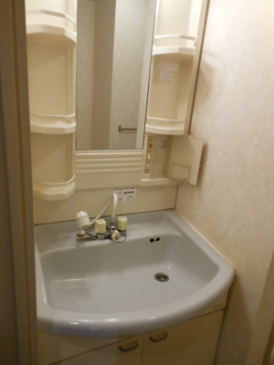 【洗面所】 | エクレール上池台 | 別部屋参考写真