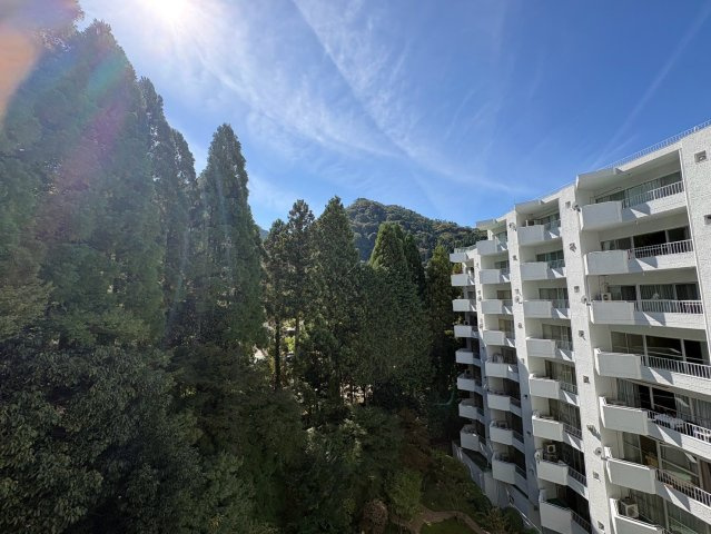 【展望】の画像