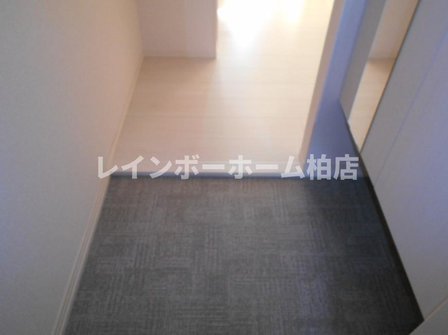 仲介手数料（賃料の1.10ヵ月）の50％OFF対象物件！の玄関|明るい玄関です