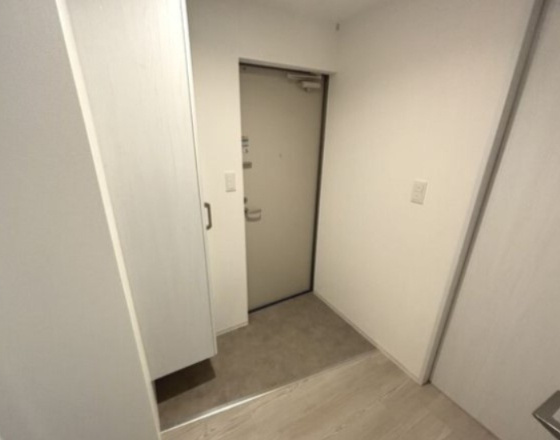 （仮称）ジーメゾン見沼堀崎町の玄関|同仕様施工
