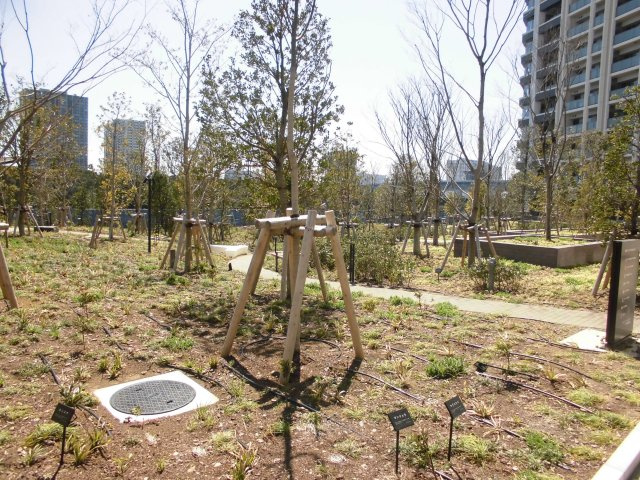 SKYZ TOWER&GARDENのその他|周辺