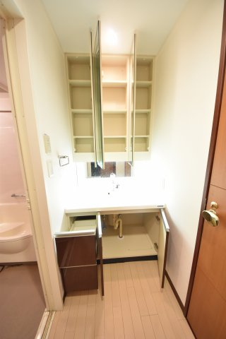 コンソラーレ土佐堀　西船場小学校区の独立洗面台|コンソラーレ土佐堀　独立洗面台