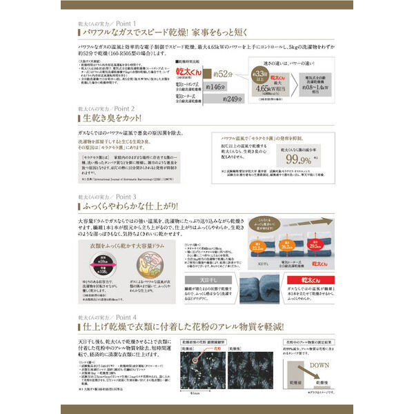 スプランディッドⅧのその他