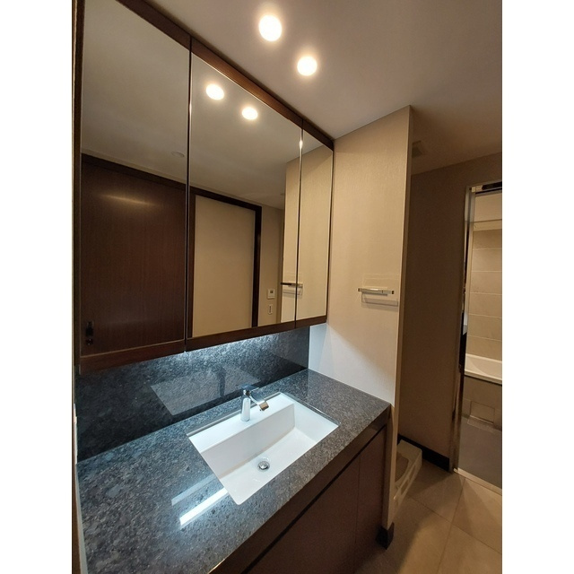 グラングリーン大阪ＴＨＥ　ＮＯＲＴＨ　ＲＥＳＩＤＥＮＣＥの洗面所