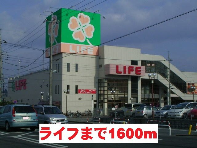 グリーンリーフスⅢの周辺|ライフまで1600m