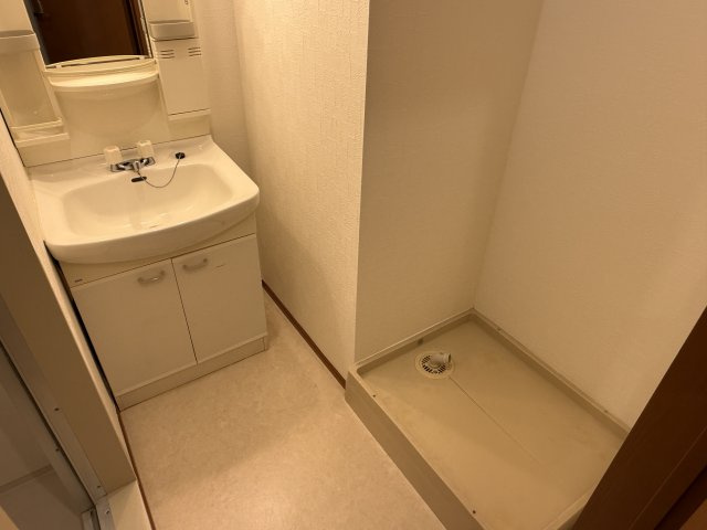 メゾンクレインの洗面所