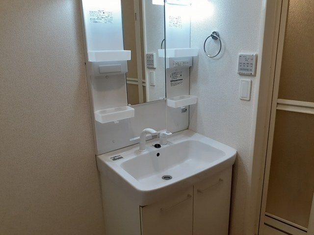 ウィステリアⅡの洗面所|広い洗面スペース