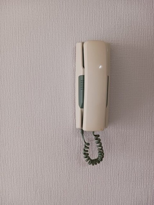 【セキュリティ】 | ハイツかすみ野Ⅱ | インターフォン