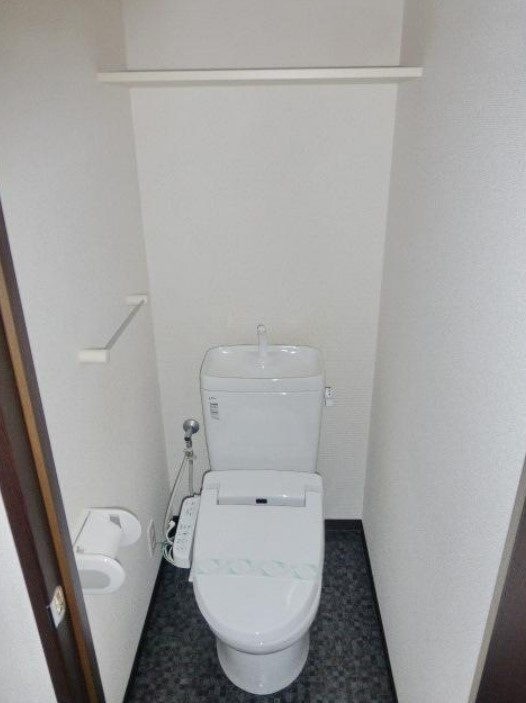 川崎市多摩区菅北浦２丁目の賃貸マンションのトイレ