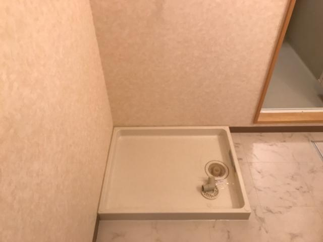 スカイコートのその他|洗濯機置場
