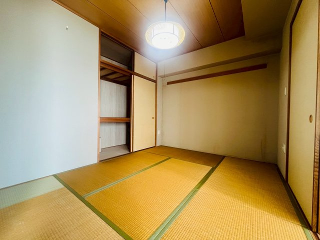 ティオ舞子のその他
