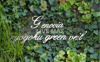 【庭】GENOVIA両国green veil 