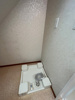 【設備】エピ駒沢 
