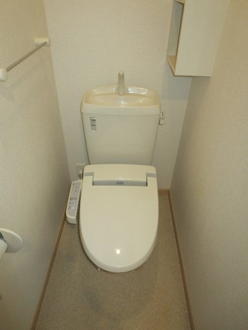 ファレノプシスのトイレ|トイレです