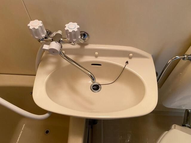 コーポエムワイの洗面所