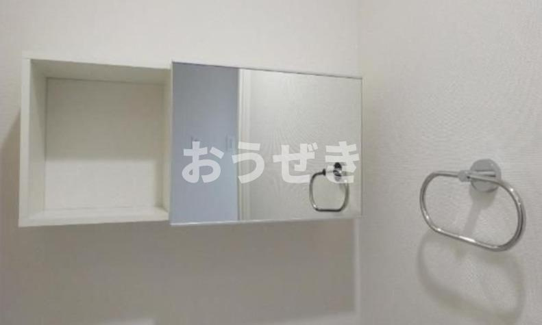 スカイウェストのその他