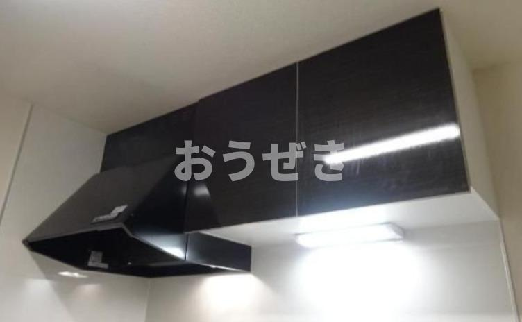 スカイウェストのその他