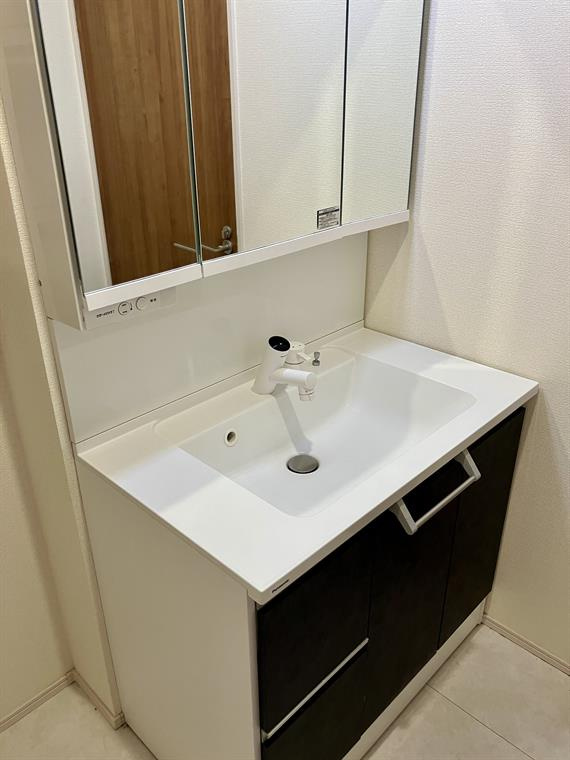 本郷戸建の洗面所