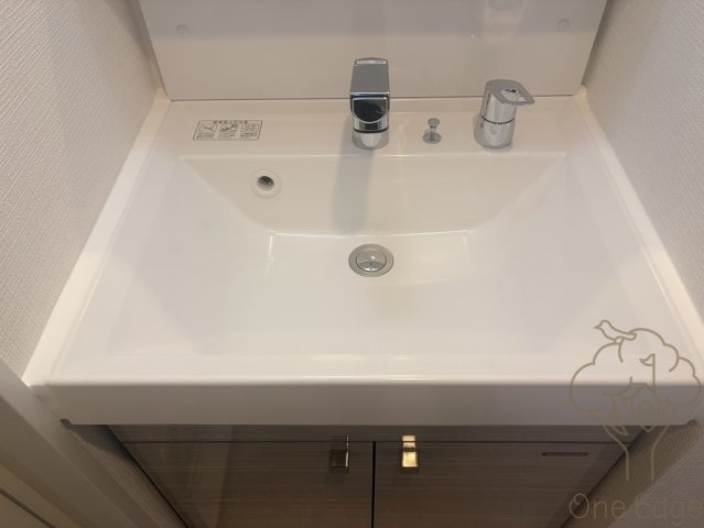 エスリード大阪セレスティアの洗面所