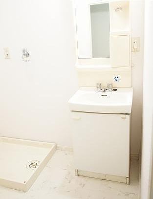 レピュート柴田の洗面所