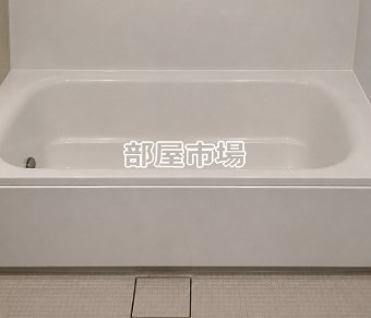 ソレーユサイトウの浴室