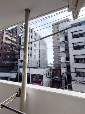 【展望】 | フラバンジェノール