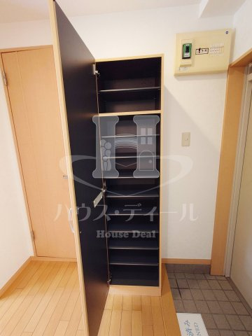 【その他】 | フラバンジェノール | シューズボックス
