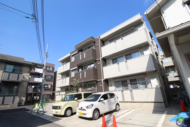 ラズベリーの外観