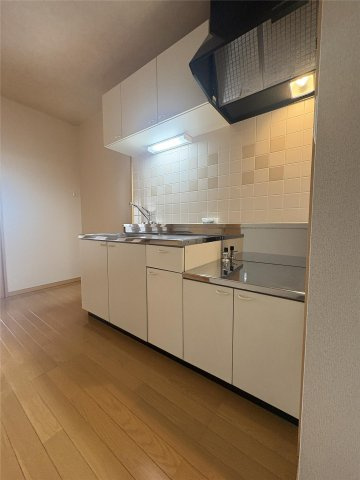 熊本市中央区薬園町の賃貸マンションのキッチン