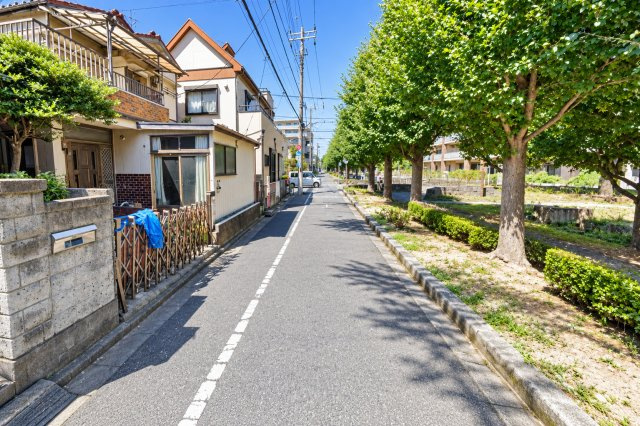 葛飾区西亀有1丁目古家付き売地の周辺|眼前に広がる緑豊かな公園と美しい並木道。四季の移ろいを身近に感じる、心豊かな暮らしを育む住環境です。