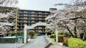 S52215-八瀬鱒乃坊ｱｰﾊﾞﾝｺﾝﾌｫｰﾄの画像