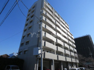 フルラーレの画像