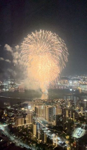 アイランドシティオーシャン＆フォレストタワーレジデンスEASTの展望|リビング窓から撮影した花火（募集元掲載写真）