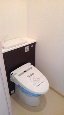 ルイシャトレ鏡の洗面所|洗面所です