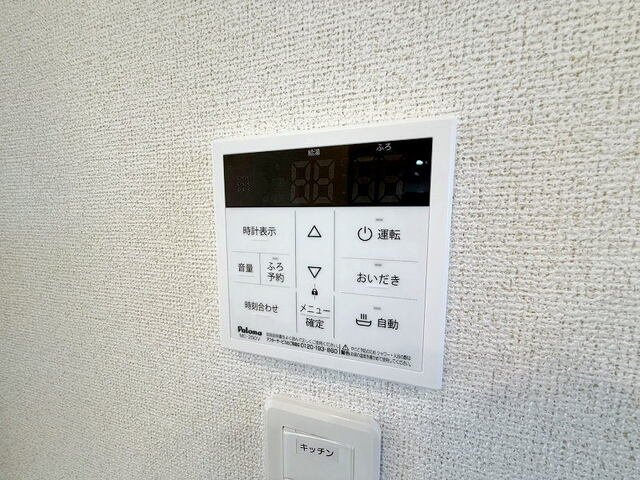 ラナンキュラス　Ⅱのその他
