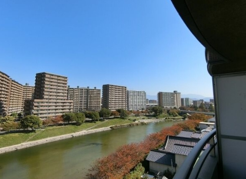 【展望】 | BRILLIANT36