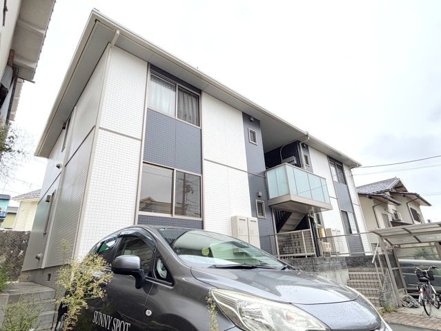 シャンプルの外観
