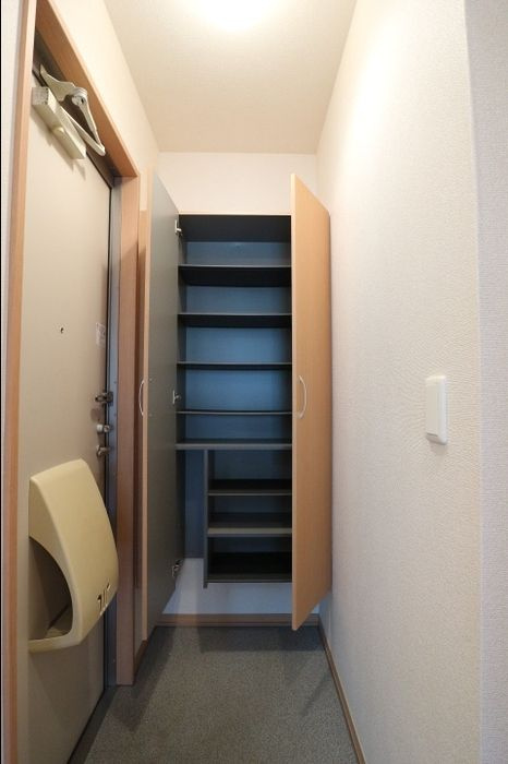 メゾンリッシュＡの玄関|落ち着いた玄関です