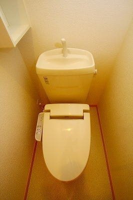 ブルー・マウンテンのトイレ|トイレです
