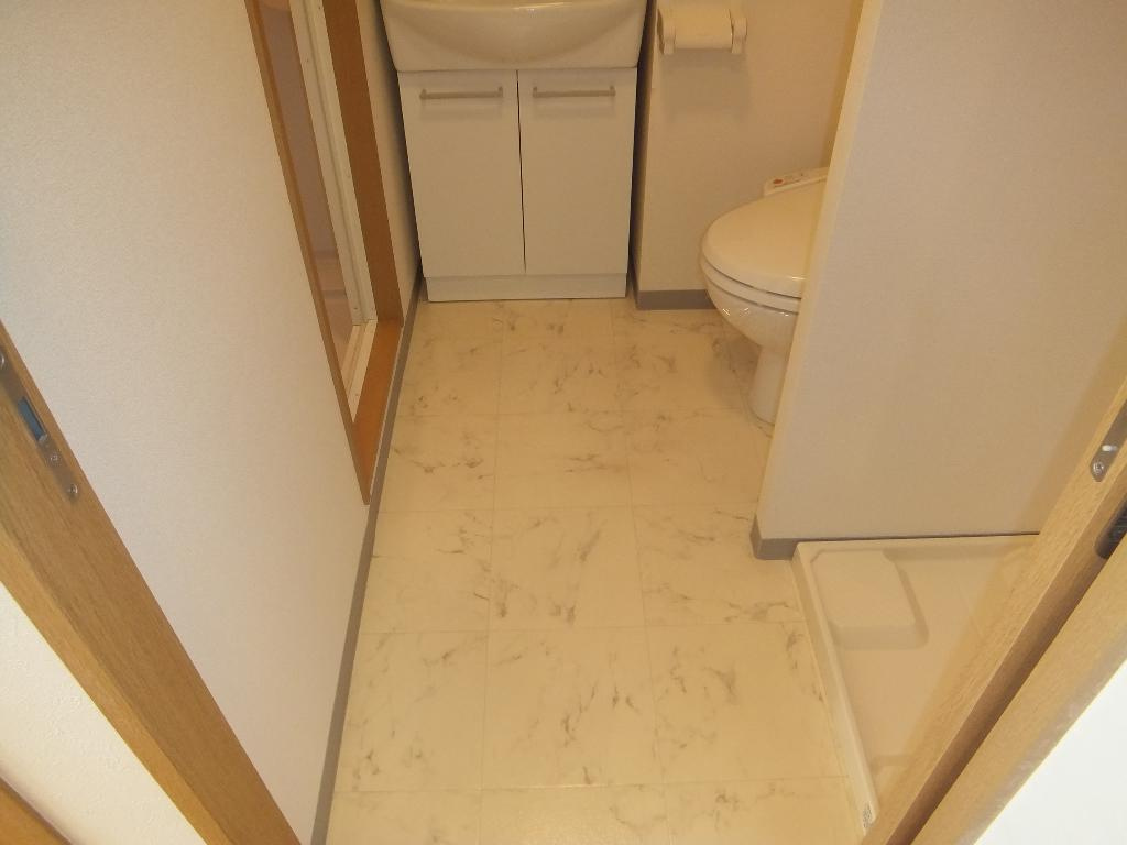 名古屋市瑞穂区彌富通２丁目の賃貸マンションの洗面所