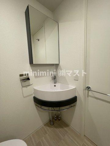 大阪市西区川口３丁目の賃貸マンションの洗面所