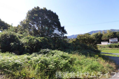 【周辺】 | 庄司606坪山林