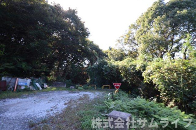 【周辺】 | 庄司606坪山林