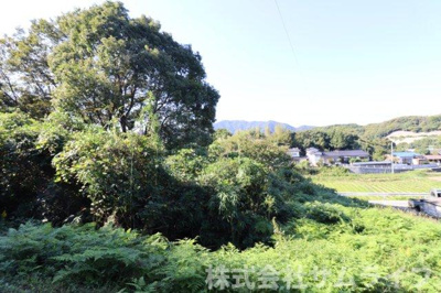 【周辺】 | 庄司606坪山林