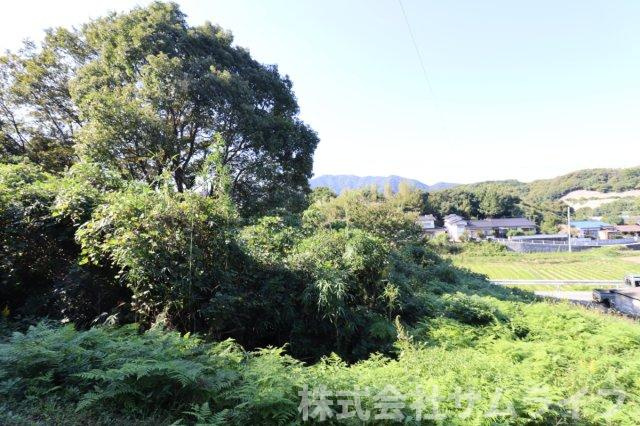【周辺】 | 庄司606坪山林