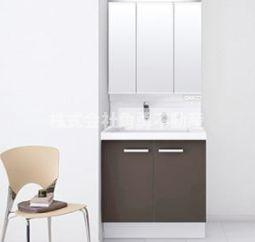 厚木市恩名2丁目　新築一戸建て　№1の内観：施工例|《施工例》洗面化粧台