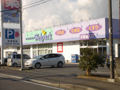 【周辺】 | グランディオ | ウェルパーク相模原下九沢店まで292ｍ
