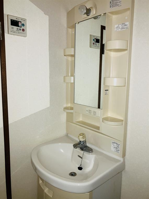 セントラルグリーンハイツの洗面所