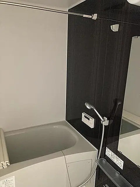 Raffine春日の浴室