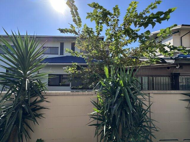 ＶＩＬＬＡ　ＶＥＲＤＥ　ＨＩＬＬＳのその他